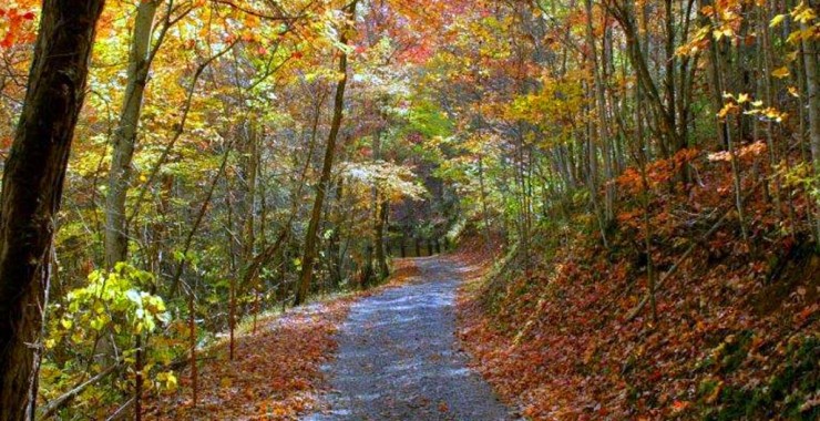 Autumn in the Smoky Mountains