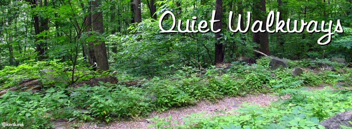 Best Hikes in the Smokies - Quiet Walkways Hiking Trails