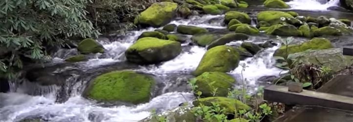 Roaring Fork Motor Nature Trail - Auto Tour the Smokies