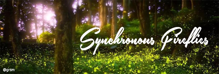 Synchronous Fireflies Smoky Mountains