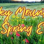 Discover Spring in the Smoky Mountains