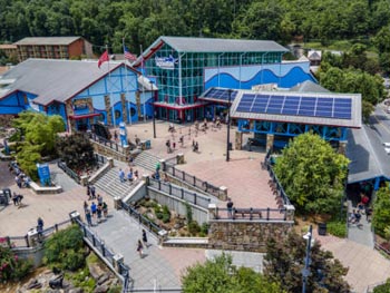 Top Things to Do in Gatlinburg on a Chilly Day Near Autumn Ridge Cabins